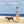 Man fishing on a beach with a dog by his side
