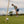 Man playing golf on a green course with trees and clouds in the background