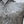 Waterman Outfitters coral button up shirt.