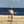 Woman on a beach holding a fishing rod and a fish, with ocean in the background